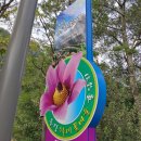 동강할미꽃펜션 이미지