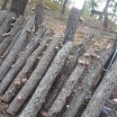 뜨락농원 이미지