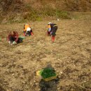 새벽아침농장 이미지