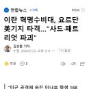 이란 혁명수비대, 요르단 美기지 타격…"사드·패트리엇 파괴" 이미지