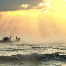 꿈이 있는 곳 이미지