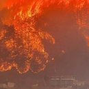 임동초교 이미지