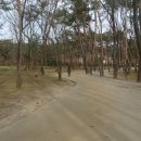 융릉ㆍ건릉 이미지