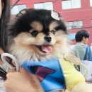 인형뽑아죠! 이미지