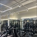 신사 라이크짐 이미지