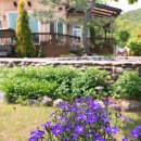 비단향꽃수 이미지