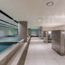 포레스트31 이미지