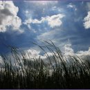 녹번-011 이미지