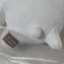 마초짐 | 일본 나가노마켓 근육곰 마초곰 농담곰 마스코트 직구 실물 후기 짐패스