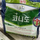제일농약사 네이버블로그