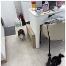 모드네일