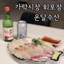 무조건회수산 | 가락시장 횟집 추천 온달수산 회포장 후기