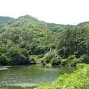 한아름 사슴 농장 이미지