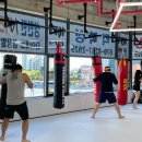 코리안탑팀 김포 이미지