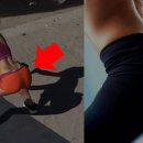 탐스 짐 이미지