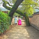 용꿈민박 | 우리나라에서 가장 아름다운 마을 1호! 산청 남사예담촌 나들이
