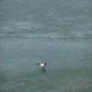 우리네온누리약국 | 2026년 1분기 일상 🐯