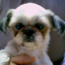 SK성당주유소 이미지