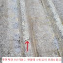 충남 예산군 헬리콥터 정비공장｜깨지고 산화된 투명FRP지붕 FRP복구 및 판넬지붕 특수아머 보강 방수 이미지