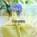 에멜무지로 Daum카페