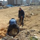 화장농장 이미지