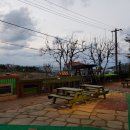 스마일러 Daum카페