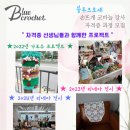 샘자원 | [코바늘 자격증 후기] 자격증 선생님들과 함께 한 블루크로셰 이력