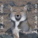 반짝반짝