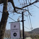스완흑염소 네이버블로그