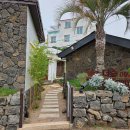 생활 속 힐링 아로마테라피 | 제주 애월에서 찾은 숲속 힐링, 더숲아로마앤테라피마사지 리저브 방문 후기