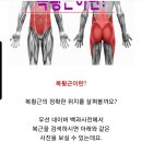 벤호건 프로 동영상, 복횡근 왜글 이미지