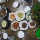 대머리산오징어 Daum카페