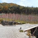 선리농장 이미지