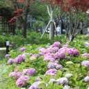 신동수변 이미지