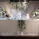 더파티스타 이미지