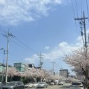 아이엠플란트치과의원 이미지