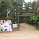 호룡곡산산림욕장 Daum카페