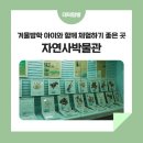 한남대학교 자연사박물관 이미지