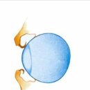 창녕동물병원 이미지