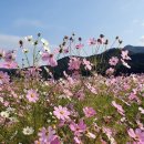 원용복마을 이미지