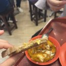 (주)오렌지여행 | [싱가포르] 8월의 싱가포르_3일차 ① (자유여행 코스 |오차드 아이온 몰·싱가포르 동물원 후기)