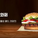 (주)하나플랜트 이미지