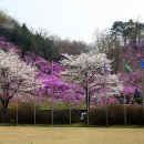진달래패션 이미지