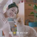 세영광고