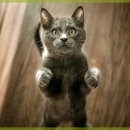 달래동물의료센터 이미지