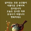 좋은인연 아름다운 삶 이미지