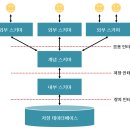 스키마야