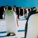 바다가 좋아 이미지