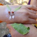 산림놀이 이미지