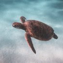 하늘환경 이미지